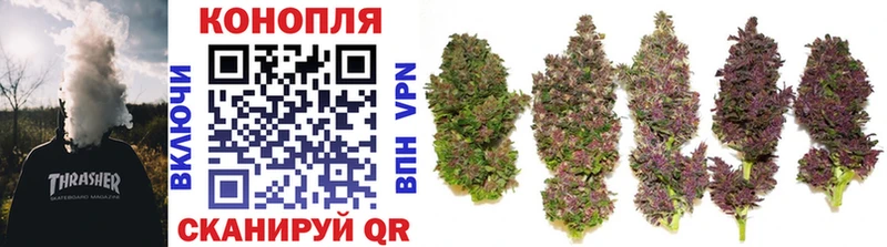 Магазины продажи наркотиков Коммунар A PVP Мефедрон ГАШИШ КОКАИН