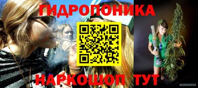 хмурый Кингисепп