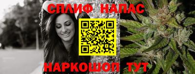 хмурый Кингисепп