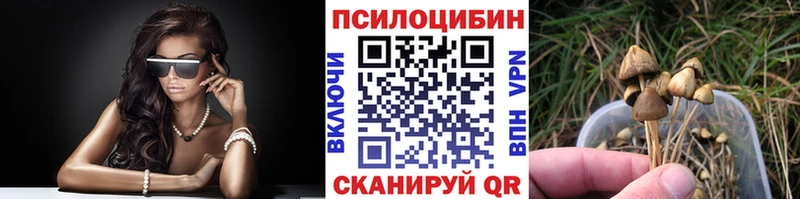 blacksprut как зайти  Коммунар  Галлюциногенные грибы мицелий 