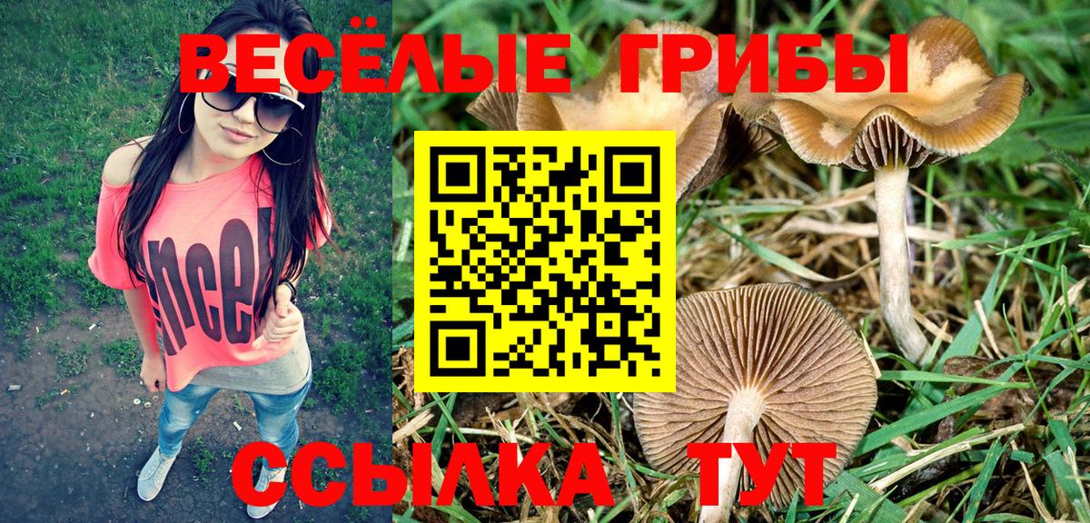 купить наркоту  Галлюциногенные грибы мицелий  Вход с VPN  Коммунар 